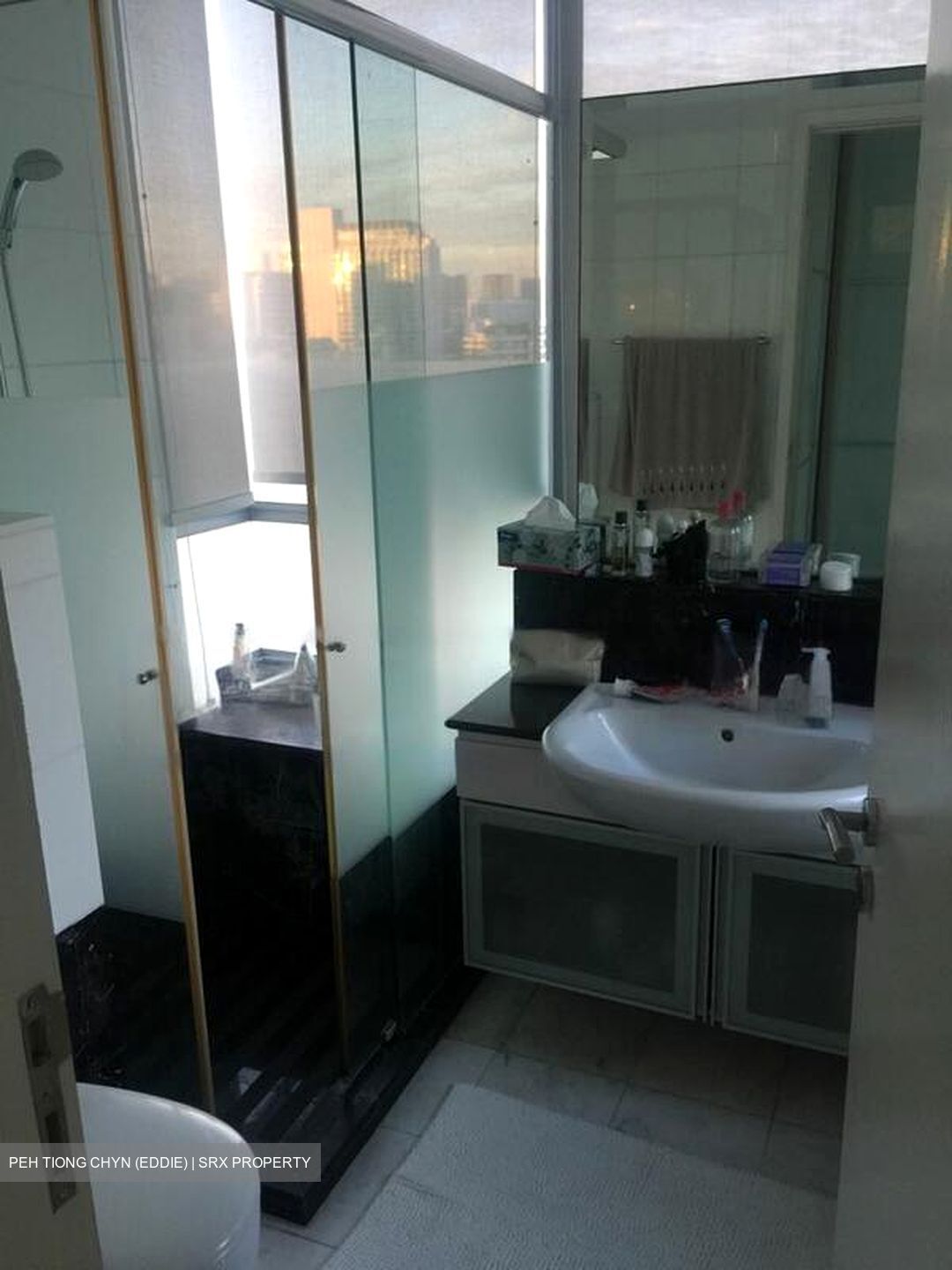 Balmoral Hills (D10), Condominium #621139591